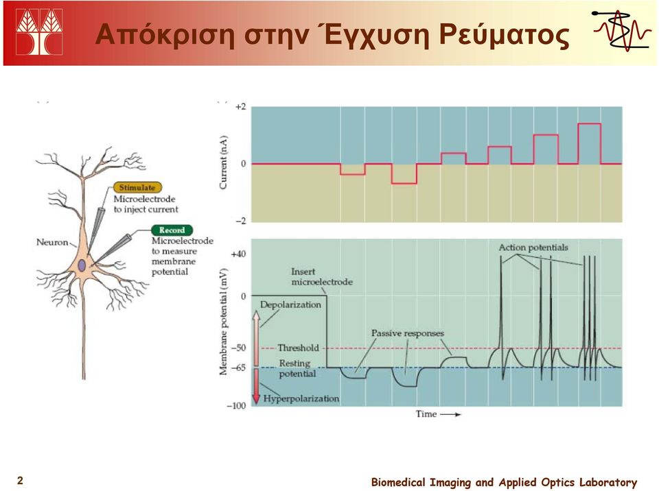 Έγχυση