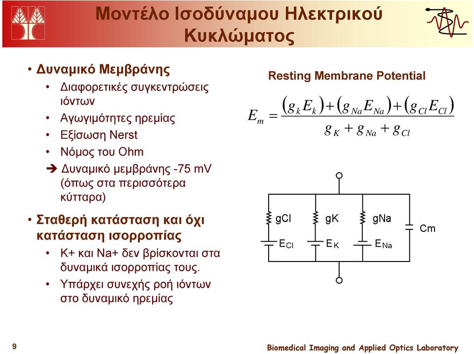 και όχι κατάσταση ισορροπίας K+ και Na+ δεν βρίσκονται στα δυναμικά ισορροπίας τους.