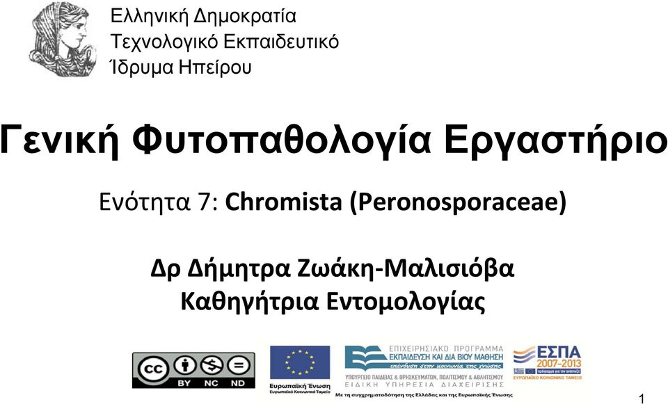 Εργαστήριο Ενότητα 7: Chromista