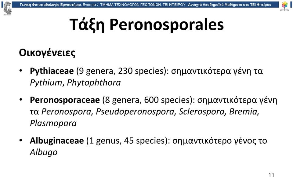 species): σημαντικότερα γένη τα Peronospora, Pseudoperonospora, Sclerospora,