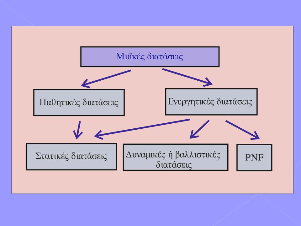 διατάσεις Στατικές διατάσεις