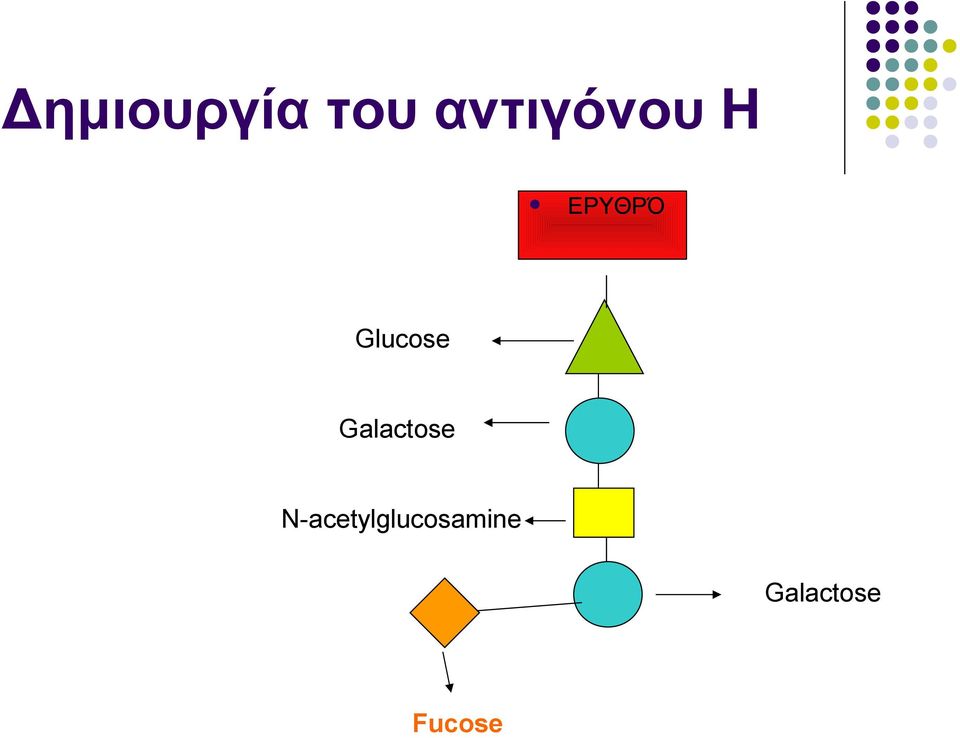 Glucose Galactose
