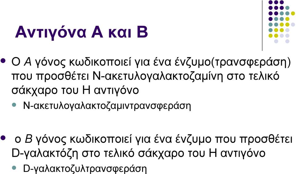 Ν-ακετυλογαλακτοζαμιντρανσφεράση ο Β γόνος κωδικοποιεί για ένα ένζυμο