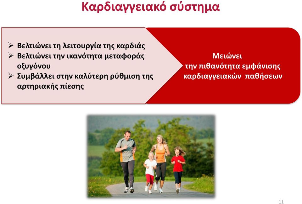 Συμβάλλει στην καλύτερη ρύθμιση της αρτηριακής πίεσης