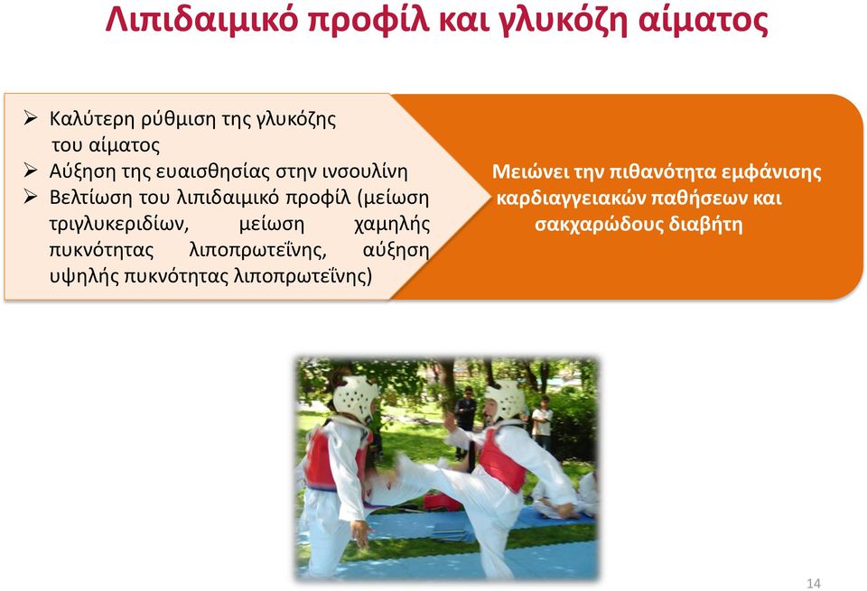 τριγλυκεριδίων, μείωση χαμηλής πυκνότητας λιποπρωτεΐνης, αύξηση υψηλής πυκνότητας