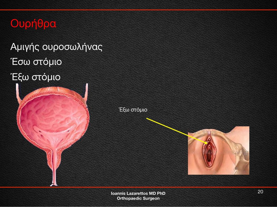 στόμιο Έξω
