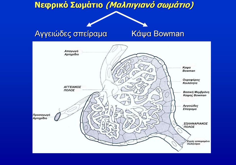 σωμάτιο)