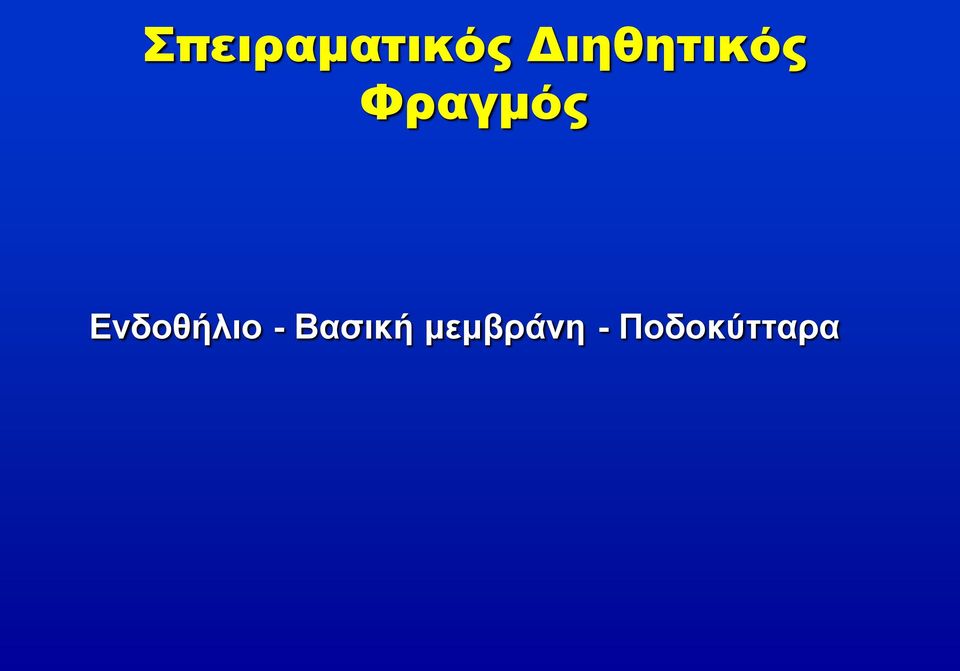 Ενδοθήλιο - Βασική