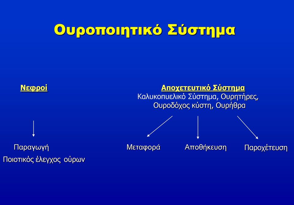 Ουροδόχος κύστη, Ουρήθρα Παραγωγή Μεταφορά