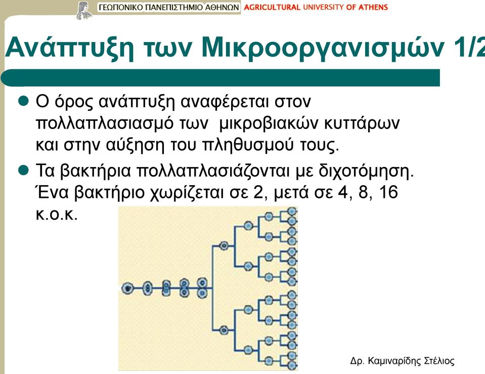 αύξηση του πληθυσμού τους.