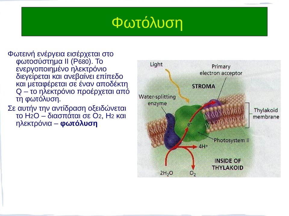 μεταφέρεται σε έναν αποδέκτη Q το ηλεκτρόνιο προέρχεται από τη φωτόλυση.