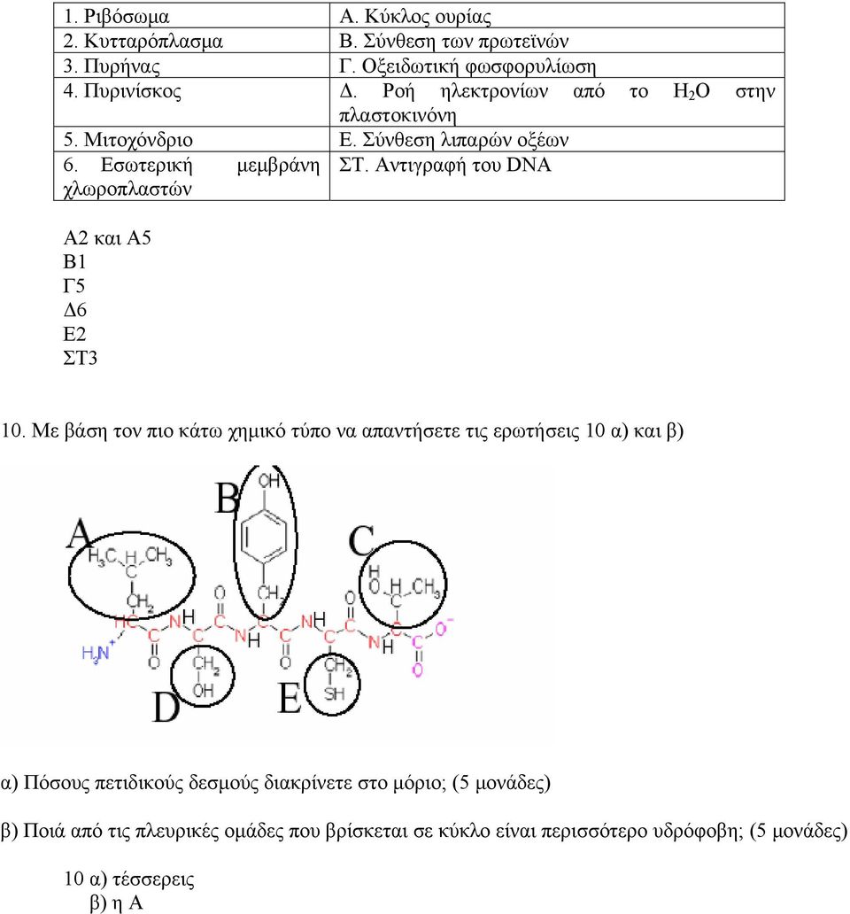 Αντιγραφή του DNA χλωροπλαστών Α2 και Α5 Β1 Γ5 Δ6 Ε2 ΣΤ3 10.