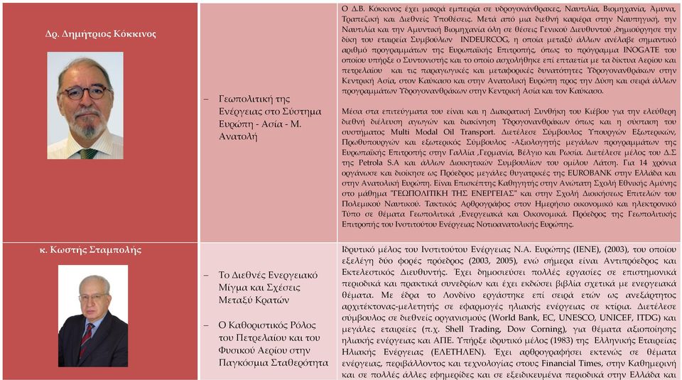 Μετά από μια διεθνή καριέρα στην Ναυπηγική, την Ναυτιλία και την Αμυντική Βιομηχανία όλη σε θέσεις Γενικού Διευθυντού,δημιούργησε την δίκη του εταιρεία Συμβούλων INDEURCOG, η οποία μεταξύ άλλων