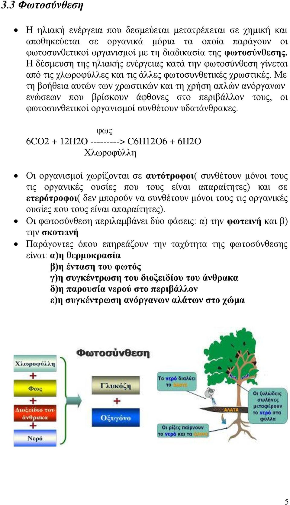 Με τη βοήθεια αυτών των χρωστικών και τη χρήση απλών ανόργανων ενώσεων που βρίσκουν άφθονες στο περιβάλλον τους, οι φωτοσυνθετικοί οργανισμοί συνθέτουν υδατάνθρακες.