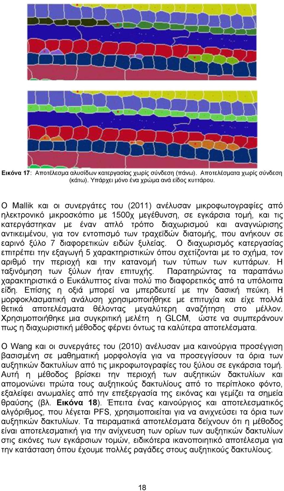 αντικειμένου, για τον εντοπισμό των τραχεϊδών διατομής, που ανήκουν σε εαρινό ξύλο 7 διαφορετικών ειδών ξυλείας.