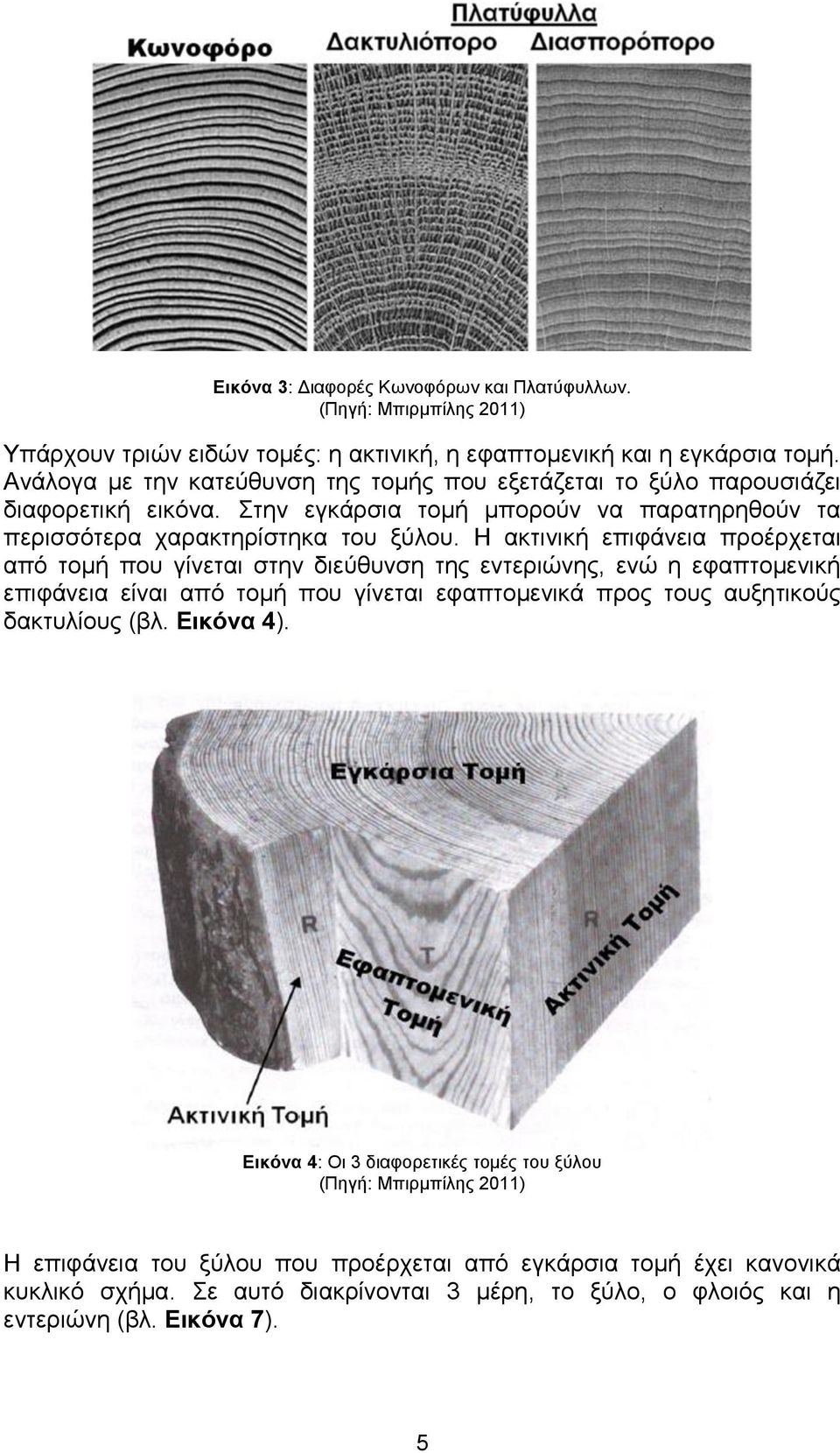 Η ακτινική επιφάνεια προέρχεται από τομή που γίνεται στην διεύθυνση της εντεριώνης, ενώ η εφαπτομενική επιφάνεια είναι από τομή που γίνεται εφαπτομενικά προς τους αυξητικούς δακτυλίους (βλ.