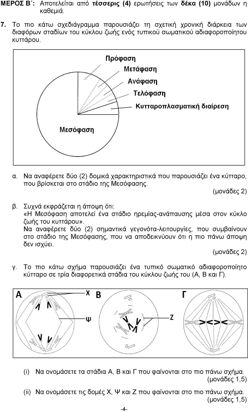 Να αναφέρετε δύο (2) δομικά χαρακτηριστικά που παρουσιάζει ένα κύτταρο, που βρίσκεται στο στάδιο της Μεσόφασης. β. Συχνά εκφράζεται η άποψη ότι: «Η Μεσόφαση αποτελεί ένα στάδιο ηρεμίας-ανάπαυσης μέσα στον κύκλο ζωής του κυττάρου».