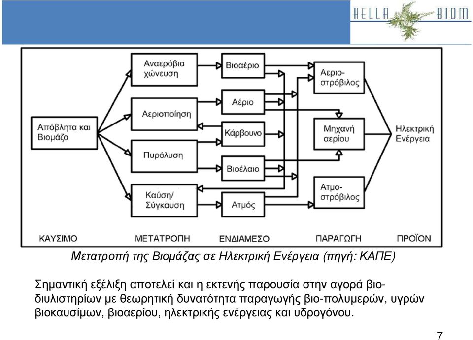 βιοδιυλιστηρίων µε θεωρητική δυνατότητα παραγωγής