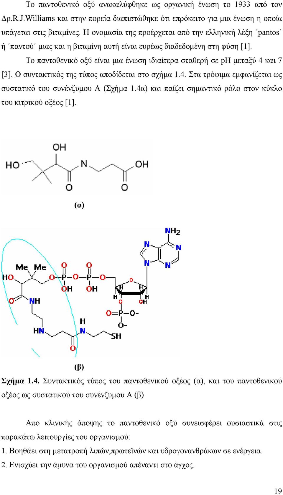 Το παντοθενικό οξύ είναι µια ένωση ιδιαίτερα σταθερή σε pη µεταξύ 4 και 7 [3]. Ο συντακτικός της τύπος αποδίδεται στο σχήµα 1.4. Στα τρόφιµα εµφανίζεται ως συστατικό του συνένζυµου Α (Σχήµα 1.