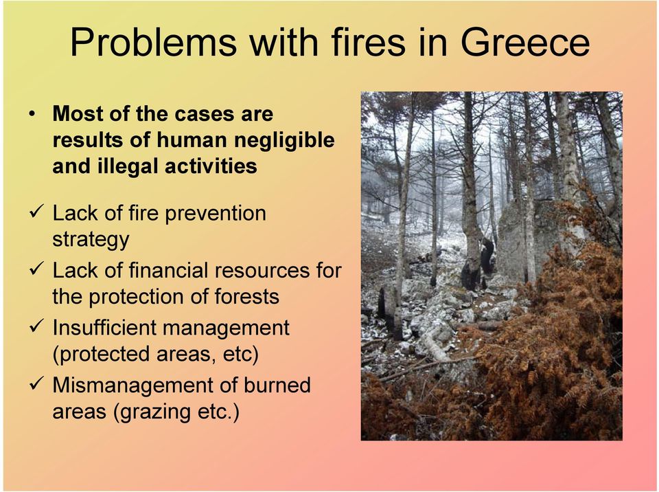 of financial resources for the protection of forests Insufficient
