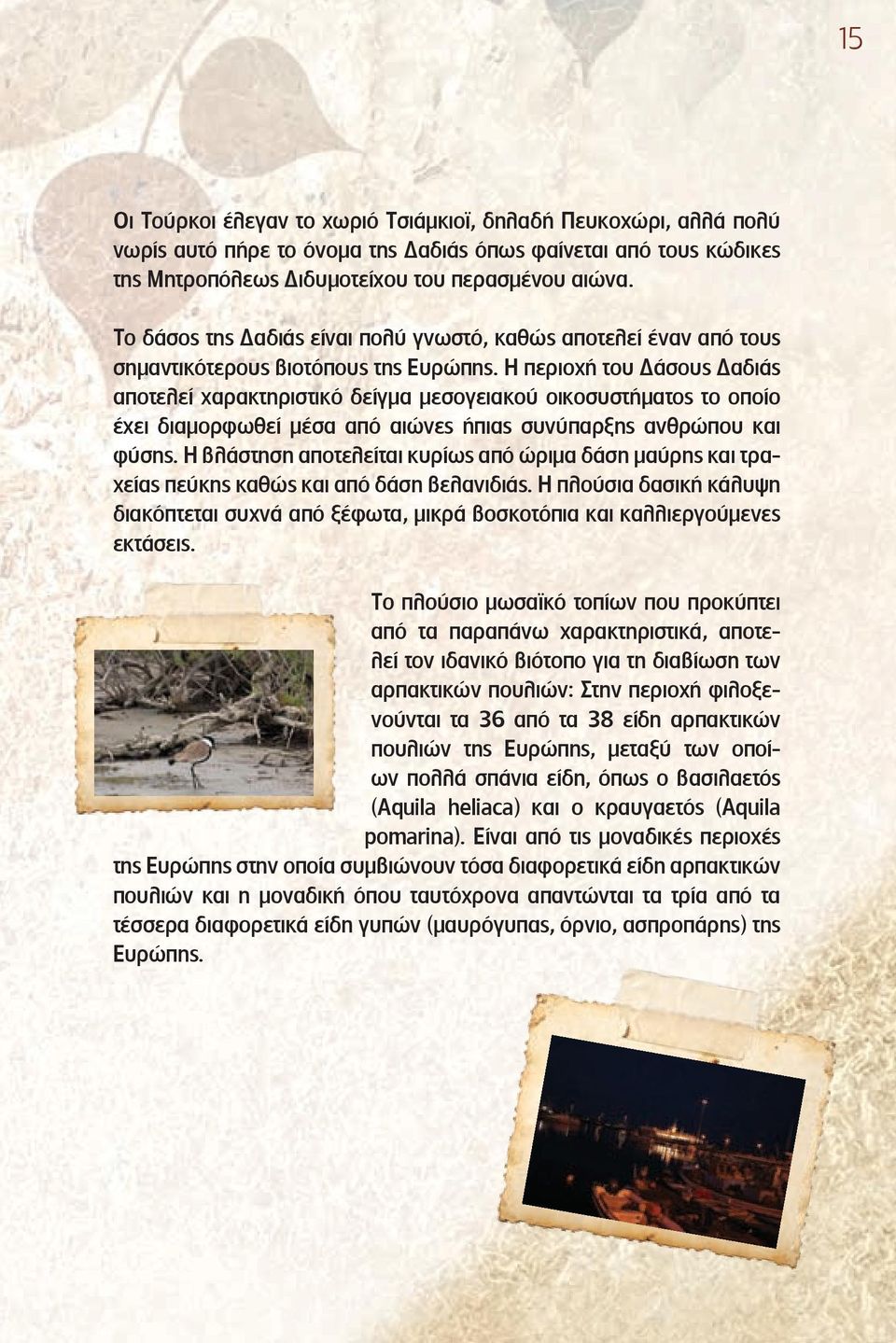 Η περιοχή του Δάσους Δαδιάς αποτελεί χαρακτηριστικό δείγμα μεσογειακού οικοσυστήματος το οποίο έχει διαμορφωθεί μέσα από αιώνες ήπιας συνύπαρξης ανθρώπου και φύσης.