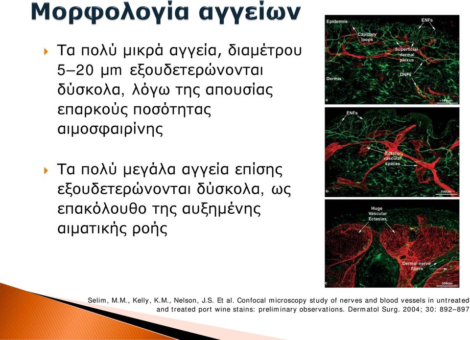αιματικής ροής Selim, M.M., Kelly, K.M., Nelson, J.S. Et al.
