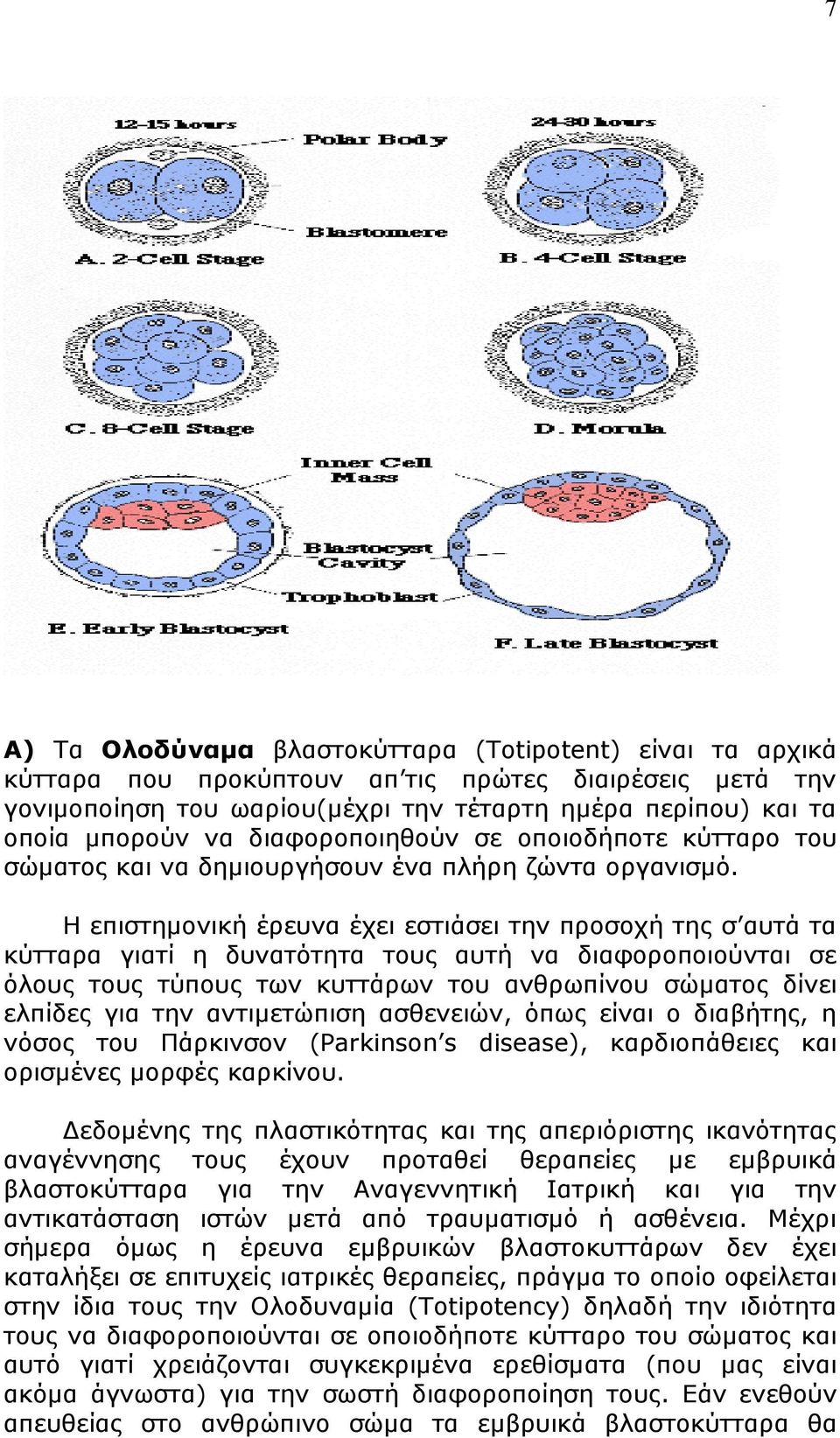 Η επιστημονική έρευνα έχει εστιάσει την προσοχή της σ αυτά τα κύτταρα γιατί η δυνατότητα τους αυτή να διαφοροποιούνται σε όλους τους τύπους των κυττάρων του ανθρωπίνου σώματος δίνει ελπίδες για την