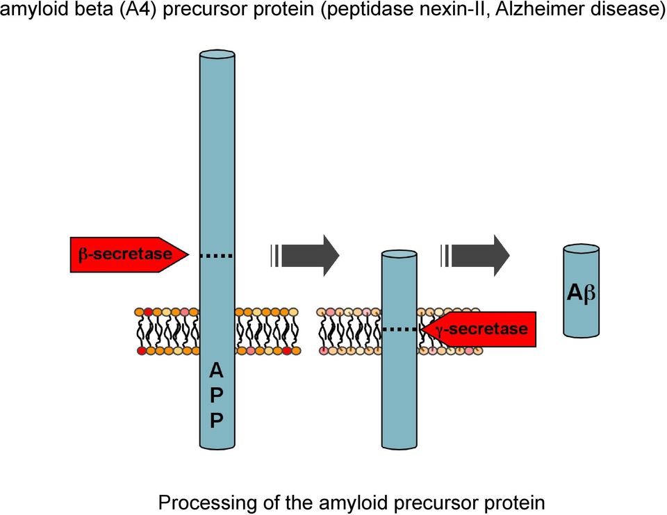 Alzheimer disease) Processing