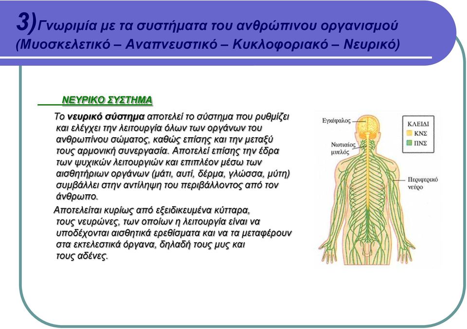 Αποτελεί επίσης την έδρα των ψυχικών λειτουργιών και επιπλέον μέσω των αισθητήριων οργάνων (μάτι, αυτί, δέρμα, γλώσσα, μύτη) συμβάλλει στην αντίληψη του περιβάλλοντος