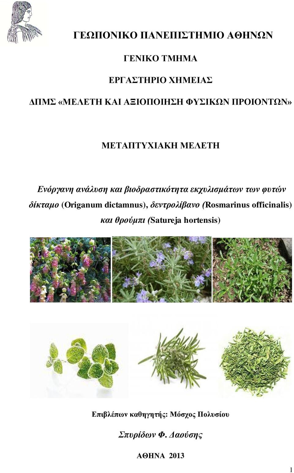 ηων θσηών δίκηαμο (Origanum dictamnus), δενηρολίβανο (Rosmarinus officinalis) και