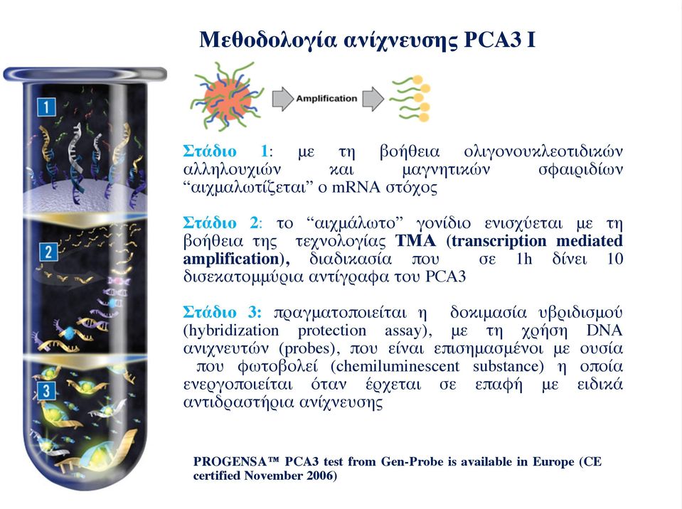 πραγματοποιείται η δοκιμασία υβριδισμού (hybridization protection assay), με τη χρήση DNA ανιχνευτών (probes), που είναι επισημασμένοι με ουσία που φωτοβολεί