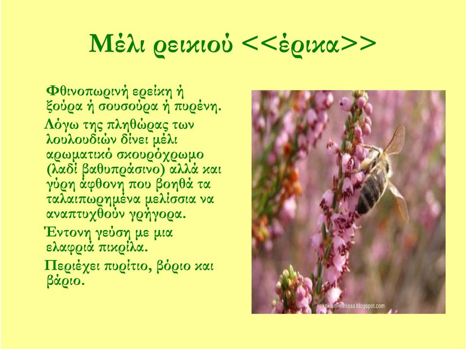 βαθυπράσινο) αλλά και γύρη άφθονη που βοηθά τα ταλαιπωρημένα μελίσσια να