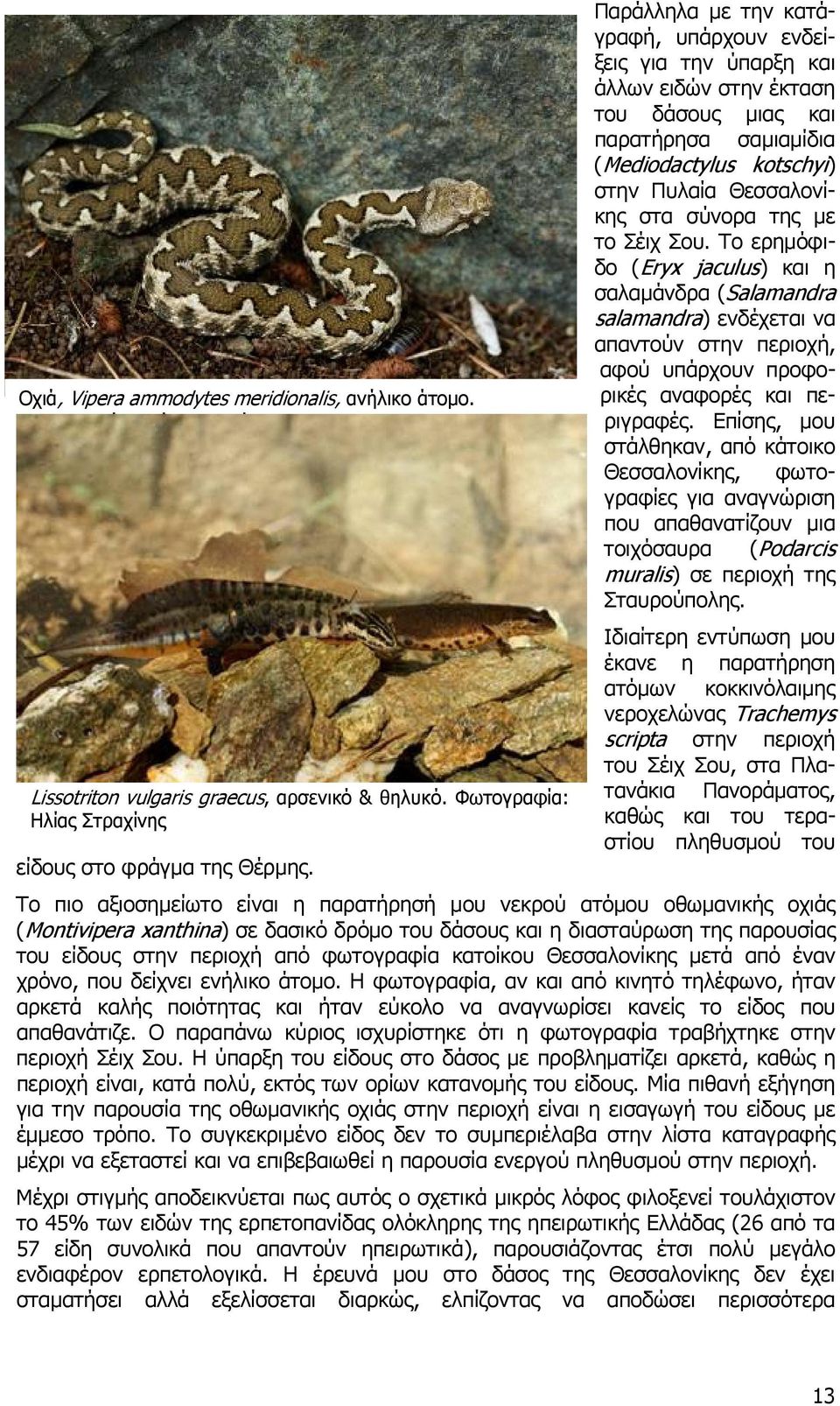 το Σέιχ Σου. Το ερημόφιδο (Eryx jaculus) και η σαλαμάνδρα (Salamandra salamandra) ενδέχεται να απαντούν στην περιοχή, αφού υπάρχουν προφορικές αναφορές και περιγραφές.