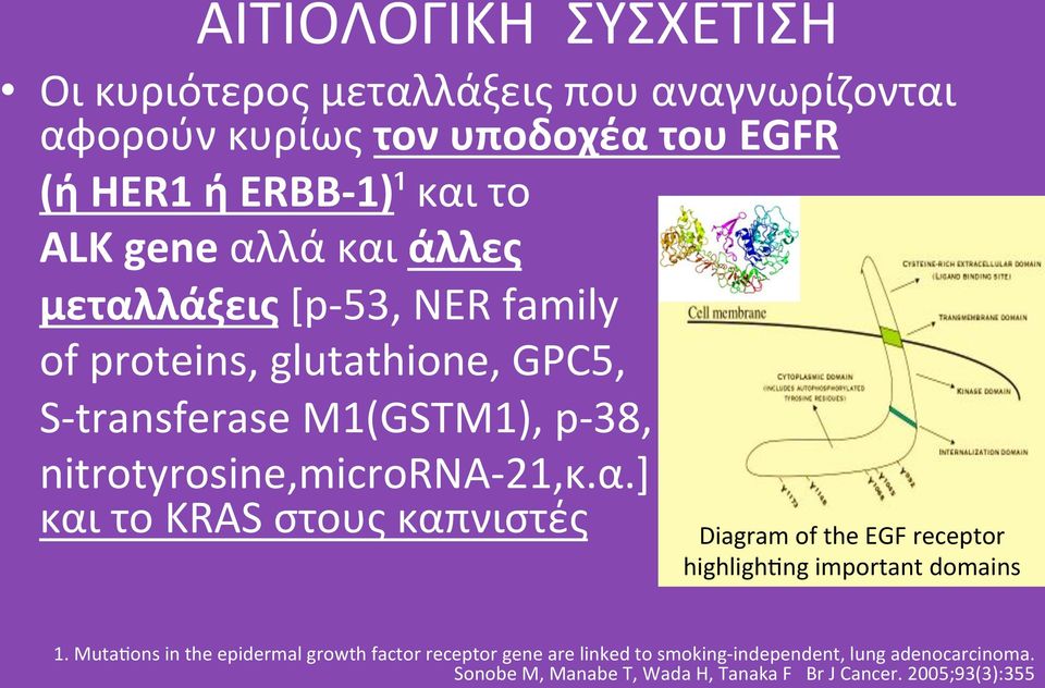 nitrotyrosine,micrornaô21,κ.α.] καιτοkrasστουςκαπνιστές DiagramoftheEGFreceptor highligh ngimportantdomains 1.