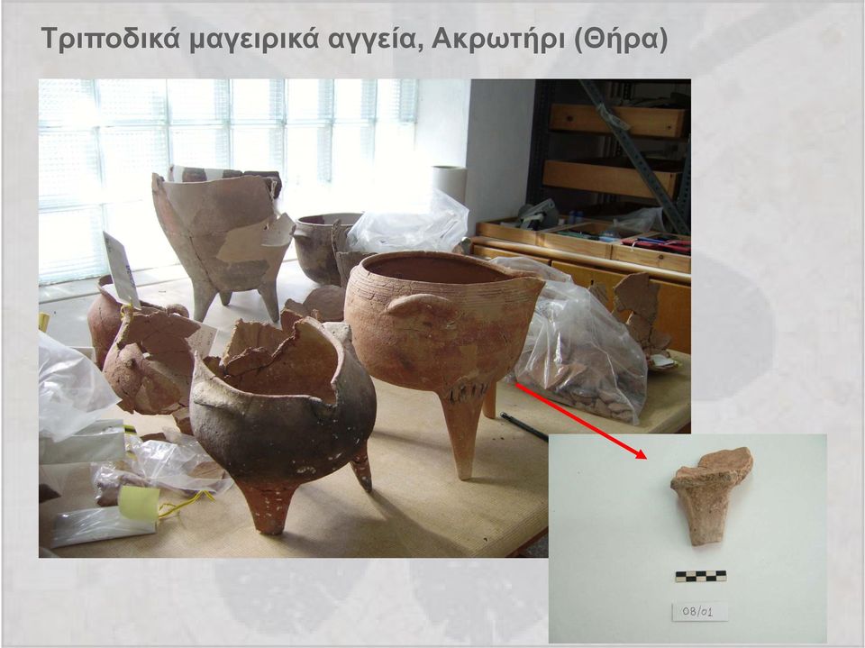 αγγεία,