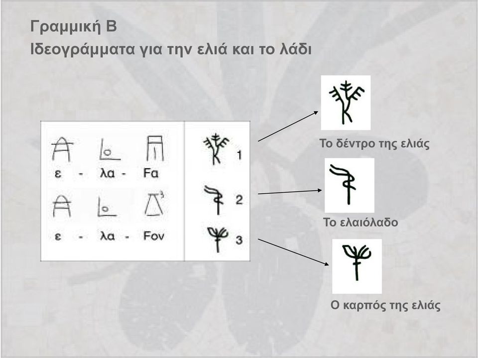 Το δέντρο της ελιάς Το
