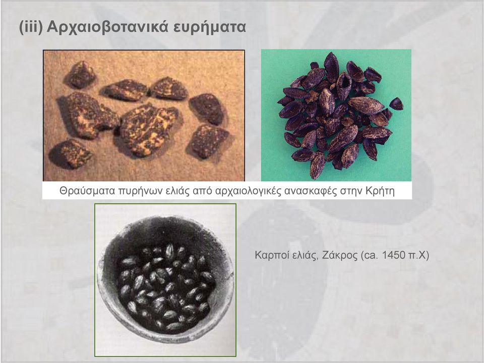 αρχαιολογικές ανασκαφές στην