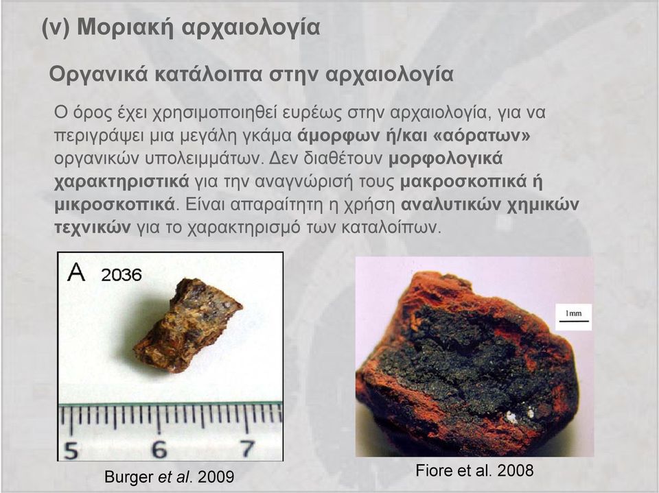 Δεν διαθέτουν μορφολογικά ογ χαρακτηριστικά για την αναγνώρισή τους μακροσκοπικά ή μικροσκοπικά.