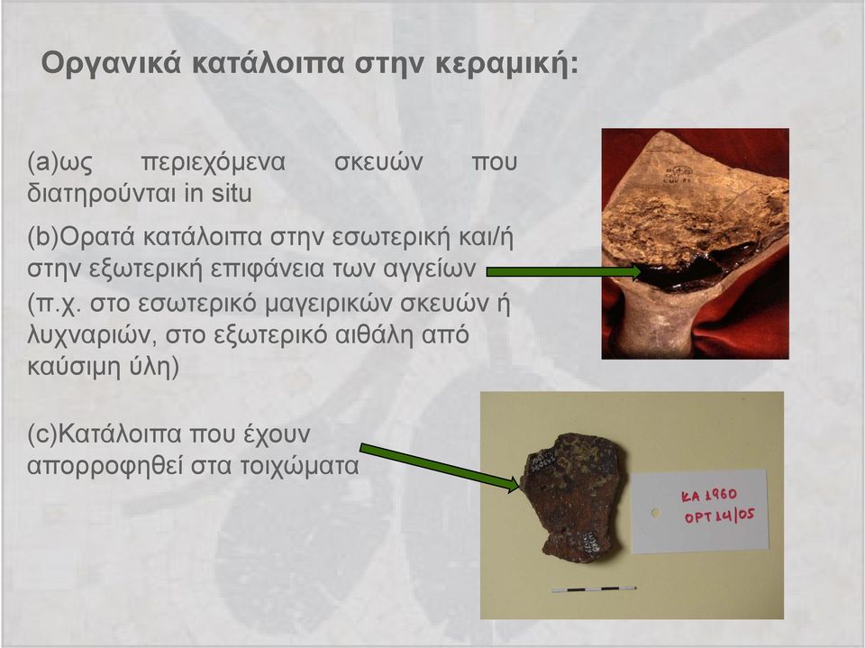 εξωτερική επιφάνεια των αγγείων (π.χ.