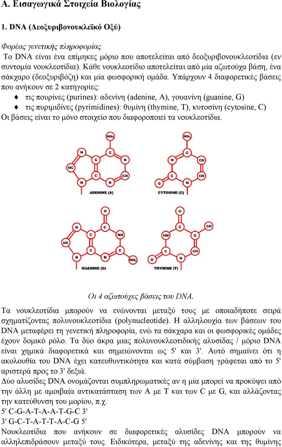 Υπάρχουν 4 διαφορετικές βάσεις που ανήκουν σε 2 κατηγορίες: τις πουρίνες (purines): αδενίνη (adenine, A), γουανίνη (guanine, G) τις πυριμιδίνες (pyrimidines): θυμίνη (thymine, T), κυτοσίνη (cytosine,