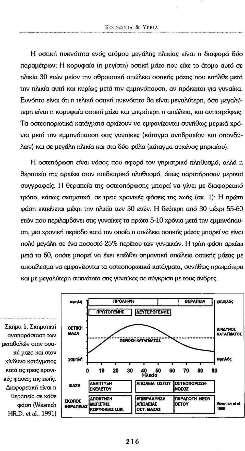 Ευνόητο είναι ότι η τελική οστική πυκνότητα θα είναι μεγαλύτερη, όσο μεγαλύτερη είναι η κορυφαία οστική μάζα και μικρότερη η απώλεια, και αντιστρόφως.