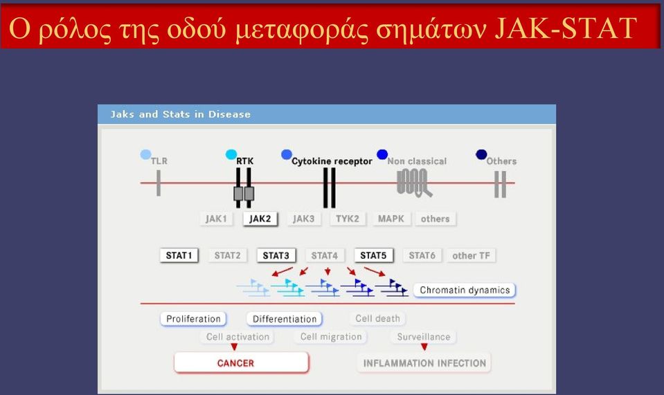 μεταφοράς