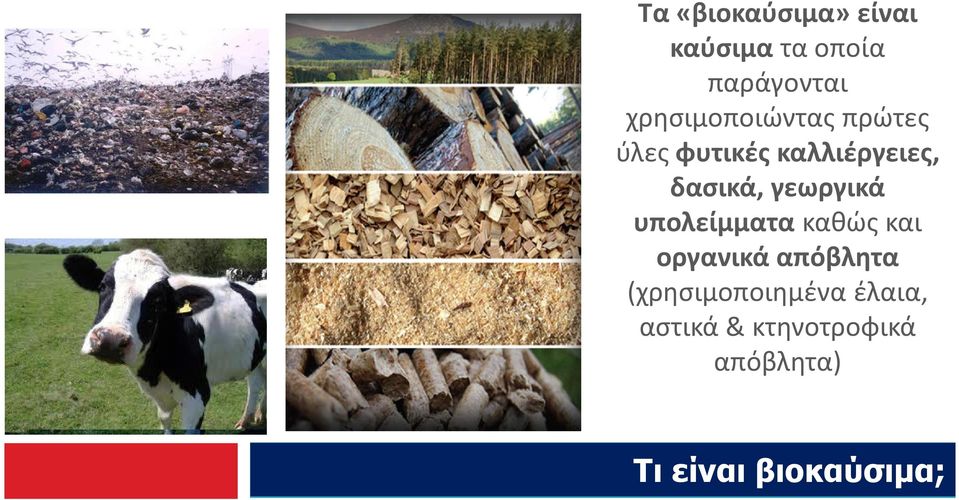 γεωργικά υπολείμματα καθώς και οργανικά απόβλητα
