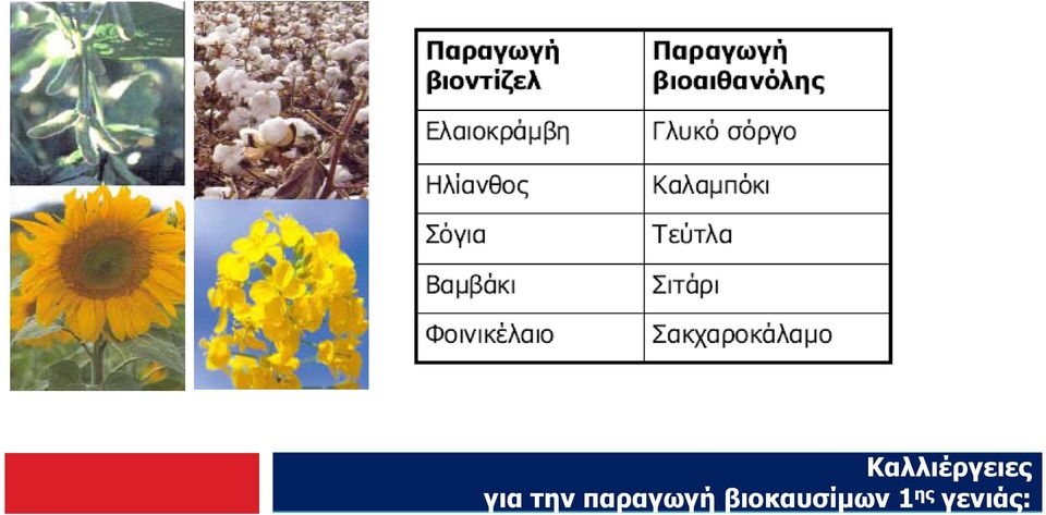 παραγωγή