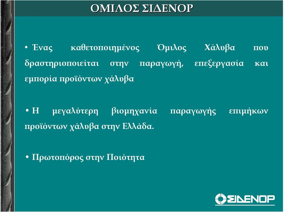 προϊόντων χάλυβα Η µεγαλύτερη βιοµηχανία παραγωγής