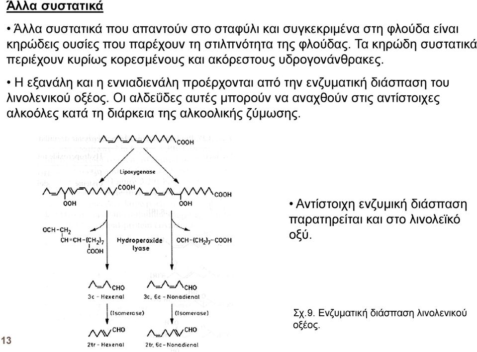 Η εξανάλη και η εννιαδιενάλη προέρχονται από την ενζυµατική διάσπαση του λινολενικού οξέος.