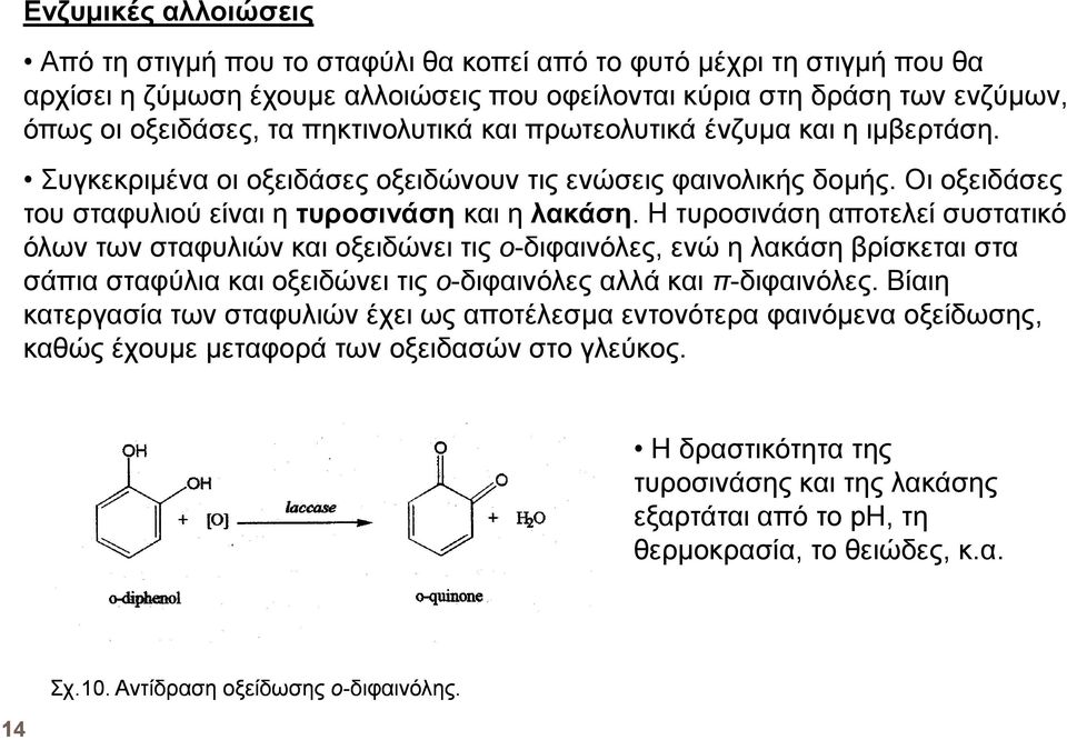 Η τυροσινάση αποτελεί συστατικό όλων των σταφυλιών και οξειδώνει τις ο-διφαινόλες, ενώ η λακάση βρίσκεται στα σάπια σταφύλια και οξειδώνει τις ο-διφαινόλες αλλά και π-διφαινόλες.