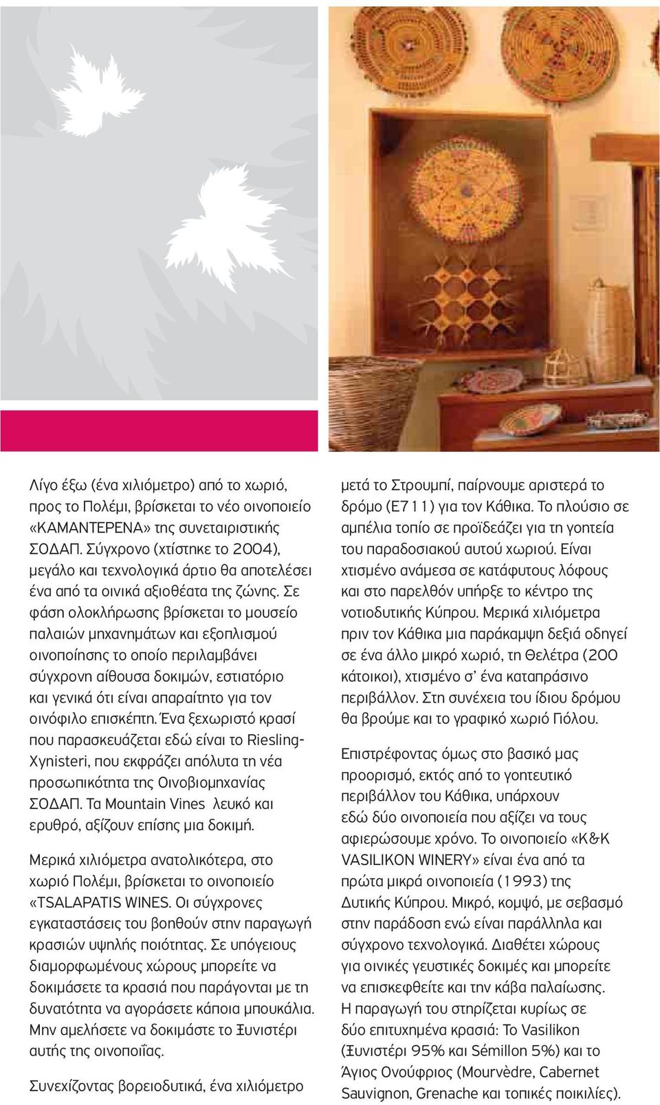 Σε φάση ολοκλήρωσης βρίσκεται το μουσείο παλαιών μηχανημάτων και εξοπλισμού οινοποίησης το οποίο περιλαμβάνει σύγχρονη αίθουσα δοκιμών, εστιατόριο και γενικά ότι είναι απαραίτητο για τον οινόφιλο