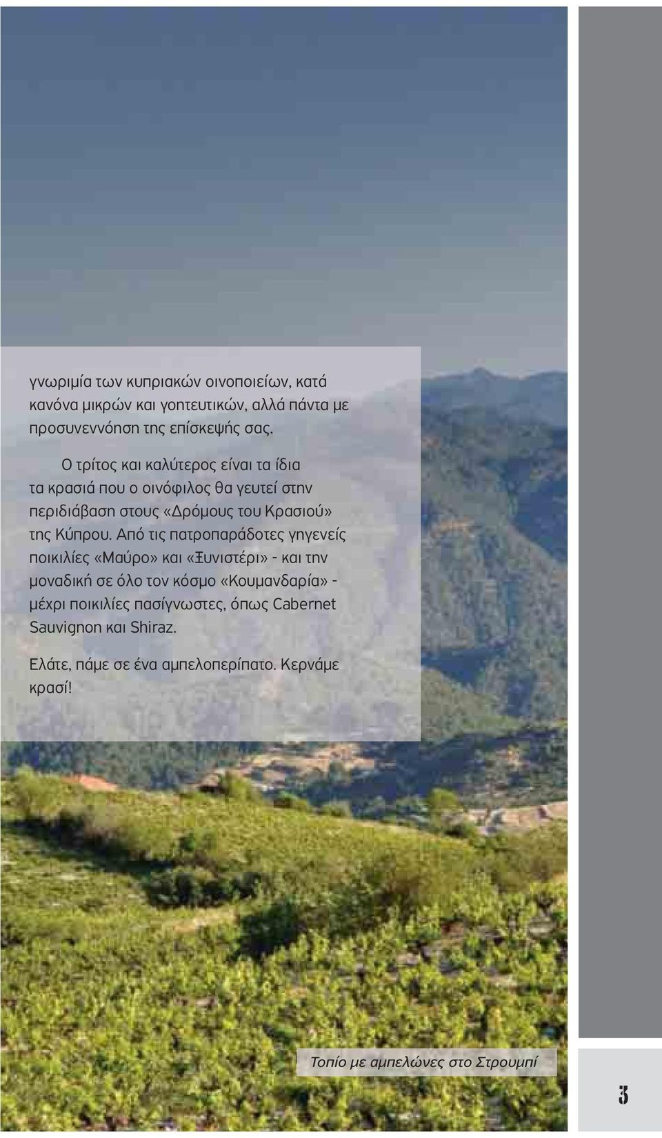 Από τις πατροπαράδοτες γηγενείς ποικιλίες «Μαύρο» και «Ξυνιστέρι» - και την μοναδική σε όλο τον κόσμο «Κουμανδαρία» - μέχρι