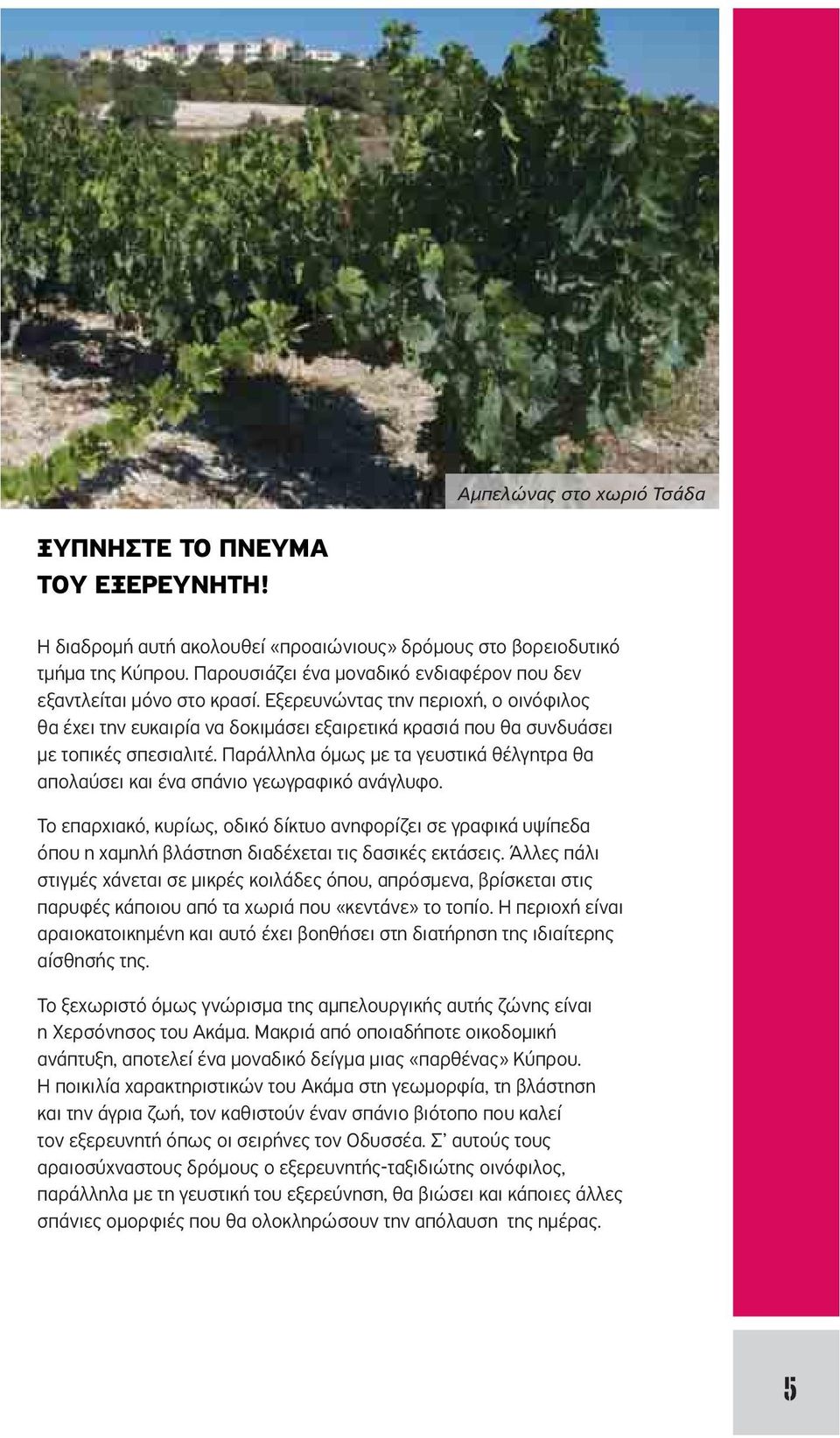 Εξερευνώντας την περιοχή, ο οινόφιλος θα έχει την ευκαιρία να δοκιμάσει εξαιρετικά κρασιά που θα συνδυάσει με τοπικές σπεσιαλιτέ.